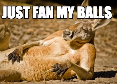 just-fan-my-balls