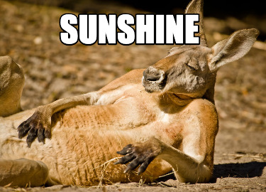 sunshine7
