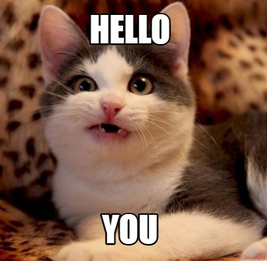 hello-you7