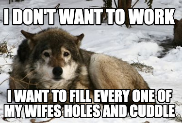i-dont-want-to-work-i-want-to-fill-every-one-of-my-wifes-holes-and-cuddle