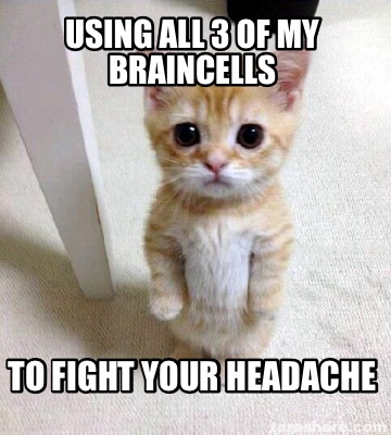 using-all-3-of-my-braincells-to-fight-your-headache