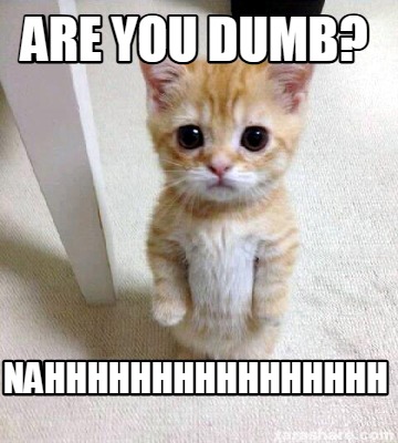 are-you-dumb-nahhhhhhhhhhhhhhhh