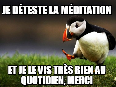 je-dteste-la-mditation-et-je-le-vis-trs-bien-au-quotidien-merci