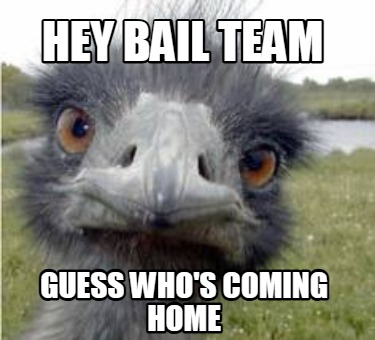 hey-bail-team-guess-whos-coming-home