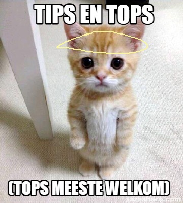 tips-en-tops-tops-meeste-welkom