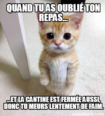 quand-tu-as-oubli-ton-repas...-...et-la-cantine-est-ferme-aussi-donc-tu-meurs-le