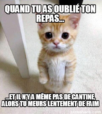 quand-tu-as-oubli-ton-repas...-...et-il-ny-a-mme-pas-de-cantine-alors-tu-meurs-l
