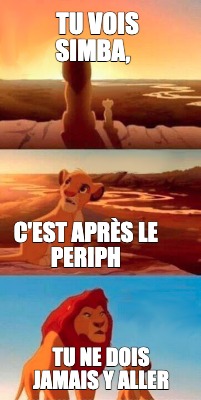 tu-vois-simba-cest-aprs-le-periph-tu-ne-dois-jamais-y-aller
