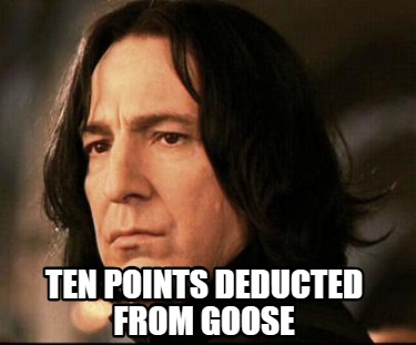 ten-points-deducted-from-goose