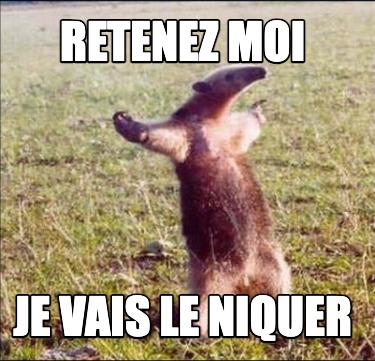 retenez-moi-je-vais-le-niquer