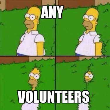 any-volunteers8