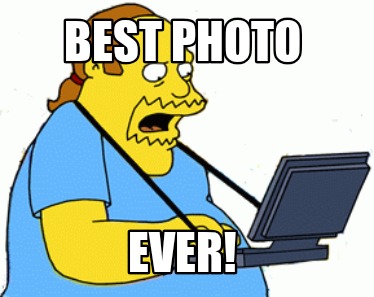 best-photo-ever