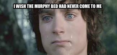 i-wish-the-murphy-bed-had-never-come-to-me