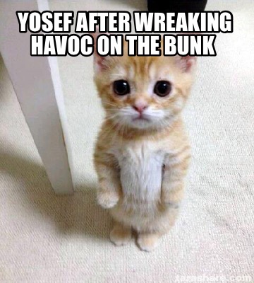 yosef-after-wreaking-havoc-on-the-bunk