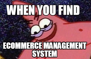 when-you-find-ecommerce-management-system