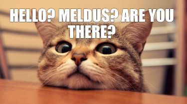 hello-meldus-are-you-there