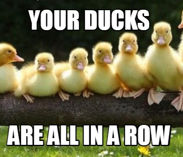 your-ducks-are-all-in-a-row
