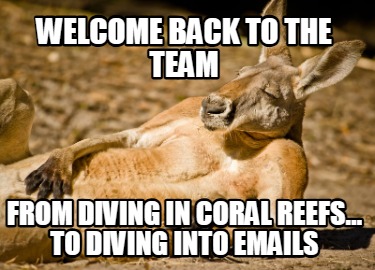 welcome-back-to-the-team-from-diving-in-coral-reefs-to-diving-into-emails