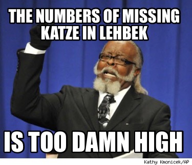 the-numbers-of-missing-katze-in-lehbek-is-too-damn-high