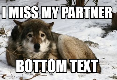 i-miss-my-partner-bottom-text