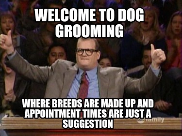 welcome-to-dog-grooming-where-breeds-are-made-up-and-appointment-times-are-just-