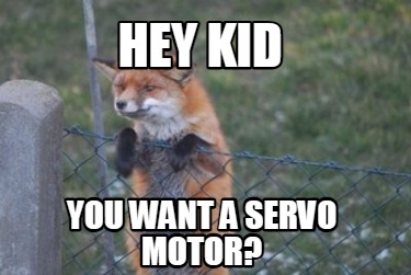 hey-kid-you-want-a-servo-motor