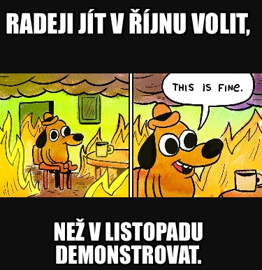 radeji-jt-v-jnu-volit-ne-v-listopadu-demonstrovat