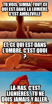 tu-vois-simba-tout-ce-qui-est-dans-la-lumire-cest-ambleville-l-bas-cest-lignires