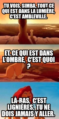 tu-vois-simba-tout-ce-qui-est-dans-la-lumire-cest-ambleville.-l-bas-cest-lignire