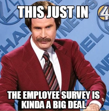 this-just-in-the-employee-survey-is-kinda-a-big-deal