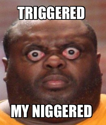 triggered-my-niggered