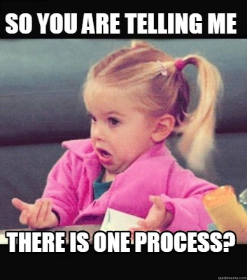so-you-are-telling-me-there-is-one-process