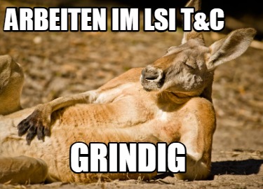 arbeiten-im-lsi-tc-grindig
