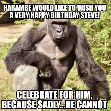 harambe-would-like-to-wish-you-a-very-happy-birthday-steve-celebrate-for-him-bec