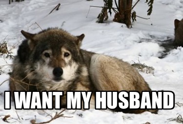 i-want-my-husband8