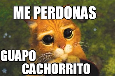 me-perdonas-cachorrito-guapo