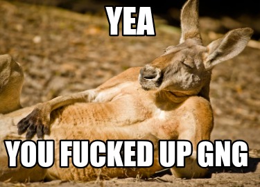 yea-you-fucked-up-gng