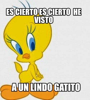 es-cierto-es-cierto-he-visto-a-un-lindo-gatito2