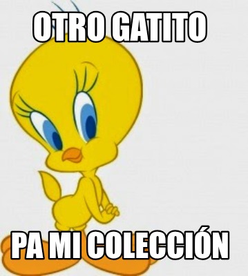 otro-gatito-pa-mi-coleccin0