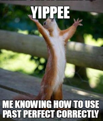 yippee-me-knowing-how-to-use-past-perfect-correctly