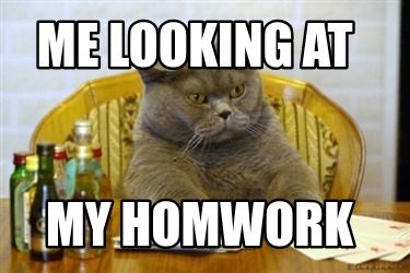 me-looking-at-my-homwork