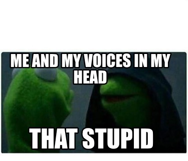 me-and-my-voices-in-my-head-that-stupid