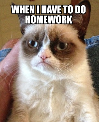 when-i-have-to-do-homework