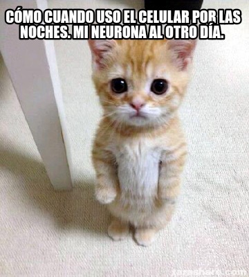 cmo-cuando-uso-el-celular-por-las-noches.-mi-neurona-al-otro-da