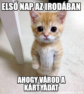 els-nap-az-irodban-ahogy-vrod-a-krtydat