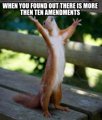 when-you-found-out-there-is-more-then-ten-amendments
