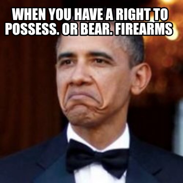 when-you-have-a-right-to-possess.-or-bear.-firearms