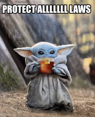 protect-alllllll-laws9