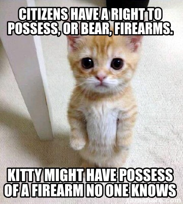 citizens-have-a-right-to-possess-or-bear-firearms.-kitty-might-have-possess-of-a