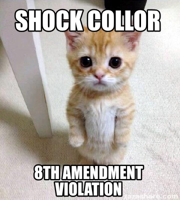 shock-collor-8th-amendment-violation